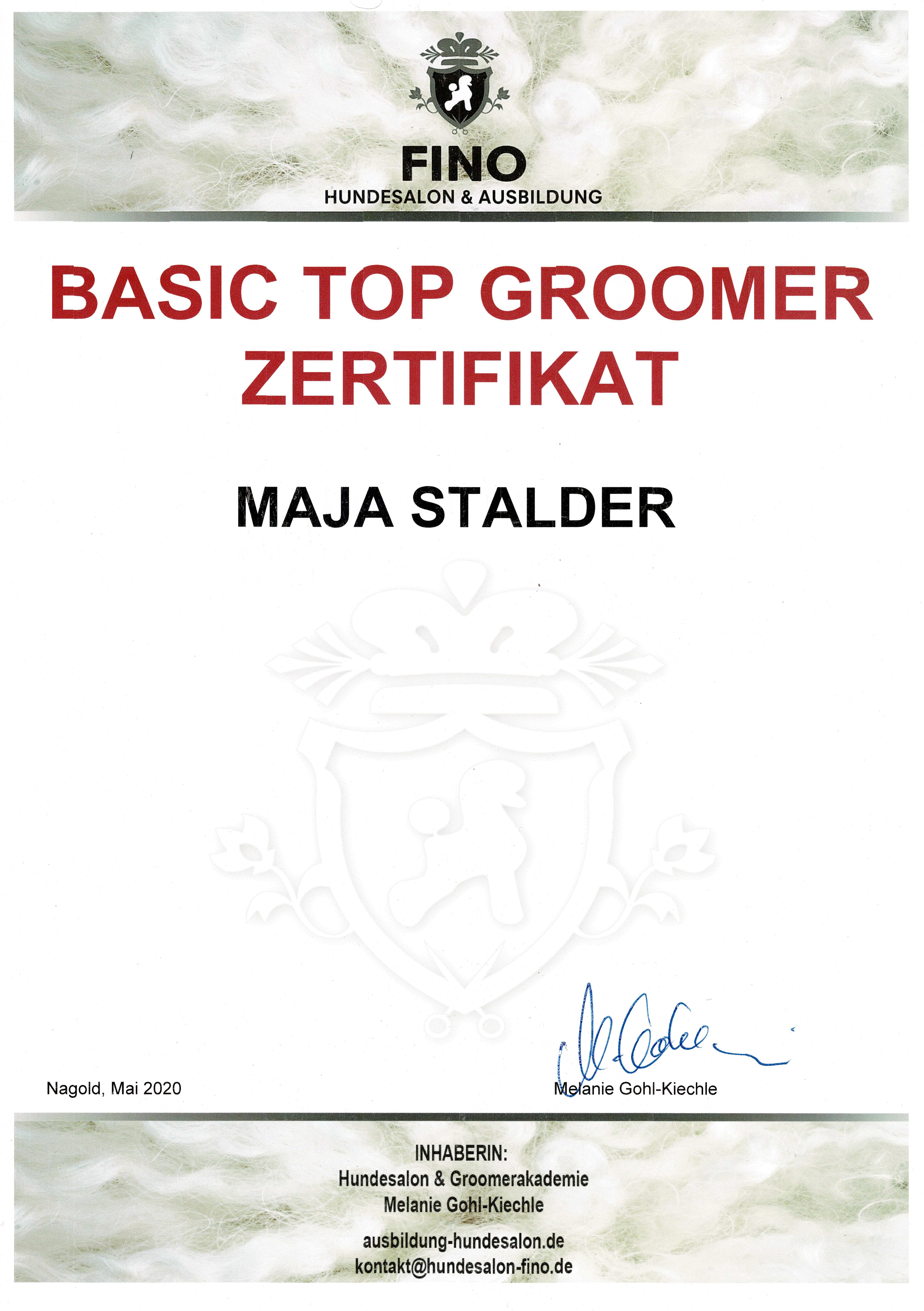 Basic Top Groomer Zertifikat